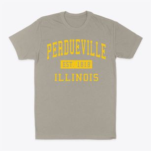 Perdueville Illinois Classic Established Classic Dad T-Shirt