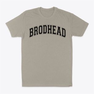 Brodhead High School Varsity Arch Classic Dad T-Shirt