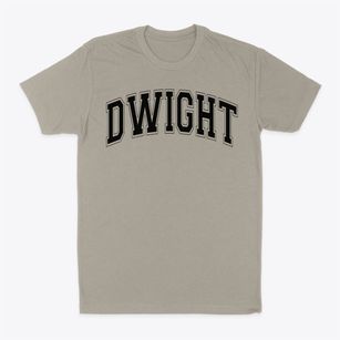 Dwight School Varsity Arch Classic Dad T-Shirt