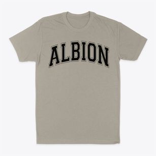 Albion School Varsity Arch Classic Dad T-Shirt