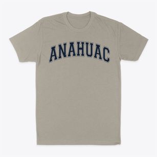 Anahuac Middle School Varsity Arch Classic Dad T-Shirt