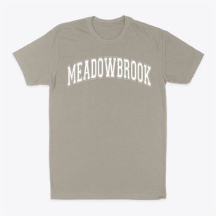 Meadowbrook School Of Studies Varsity Arch Classic Dad T-Shirt