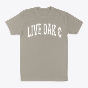 Live Oak Elementary & Middle School Varsity Arch Classic Dad T-Shirt