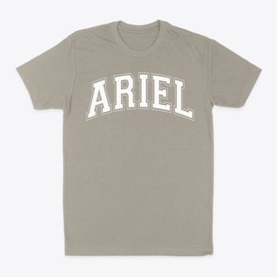 Ariel Community Academy Varsity Arch Classic Dad T-Shirt