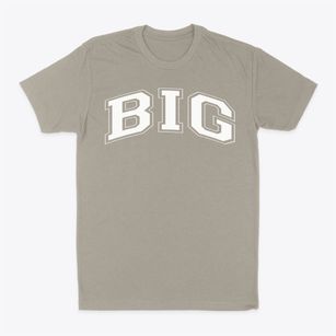 Big School Varsity Arch Classic Dad T-Shirt