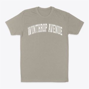Winthrop Avenue Elementary School Varsity Arch Classic Dad T-Shirt