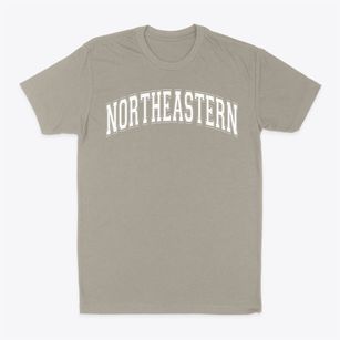Northeastern High School Varsity Arch Classic Dad T-Shirt