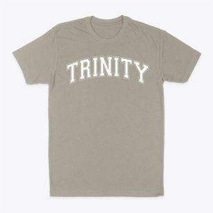Trinity Christian Academy Varsity Arch Classic Dad T-Shirt