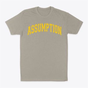Assumption Catholic School Varsity Arch Classic Dad T-Shirt