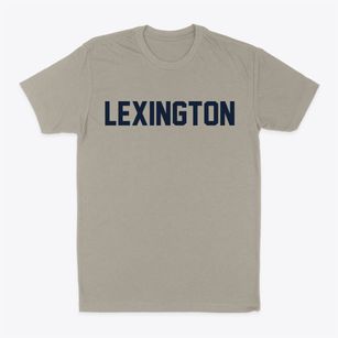 Lexington South Carolina Classic Block Classic Dad T-Shirt