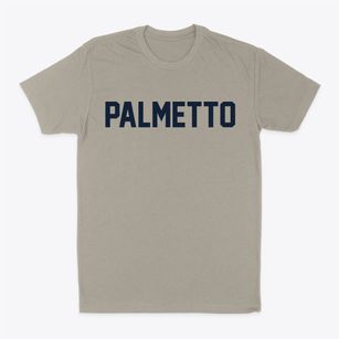 Palmetto Louisiana Classic Block Classic Dad T-Shirt