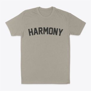 Harmony Minnesota Classic Curve Classic Dad T-Shirt