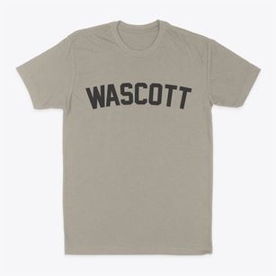 Wascott Wisconsin Classic Curve Classic Dad T-Shirt