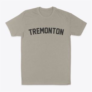Tremonton Utah Classic Curve Classic Dad T-Shirt