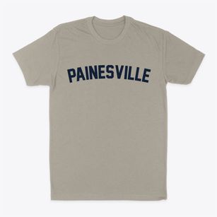 Painesville Ohio Classic Curve Classic Dad T-Shirt