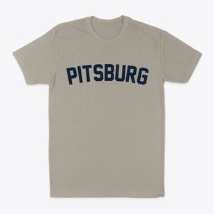 Pitsburg Ohio Classic Curve Classic Dad T-Shirt