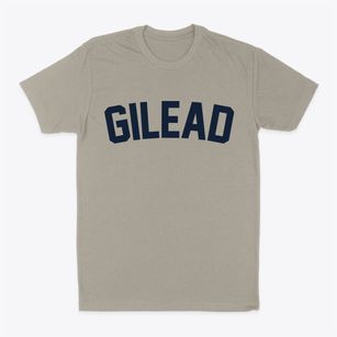 Gilead Maine Classic Curve Classic Dad T-Shirt