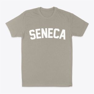 Seneca New York Classic Curve Classic Dad T-Shirt
