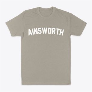 Ainsworth Wisconsin Classic Curve Classic Dad T-Shirt