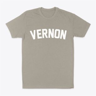 Vernon Illinois Classic Curve Classic Dad T-Shirt