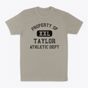 Taylor Michigan Athletic Dept Classic Dad T-Shirt