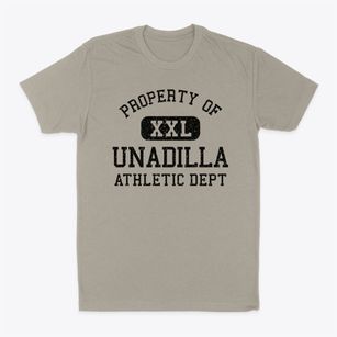 Unadilla New York Athletic Dept Classic Dad T-Shirt
