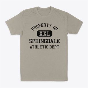 Springdale South Carolina Athletic Dept Classic Dad T-Shirt