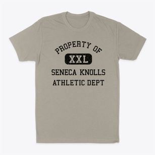 Seneca Knolls New York Athletic Dept Classic Dad T-Shirt