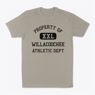 Willacoochee Georgia Athletic Dept Classic Dad T-Shirt