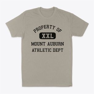 Mount Auburn Iowa Athletic Dept Classic Dad T-Shirt