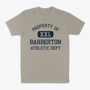 Barberton Ohio Athletic Dept Classic Dad T-Shirt
