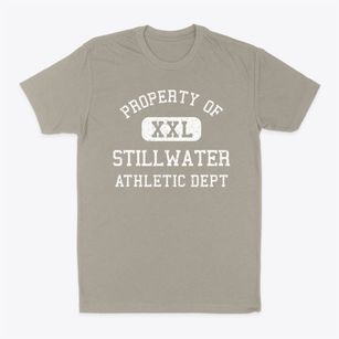 Stillwater New York Athletic Dept Classic Dad T-Shirt