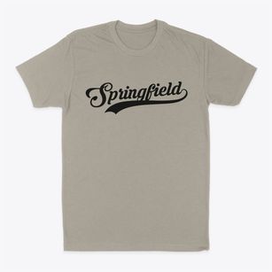 Springfield Illinois Vintage Team Classic Dad T-Shirt