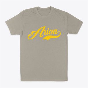 Arion Iowa Vintage Team Classic Dad T-Shirt