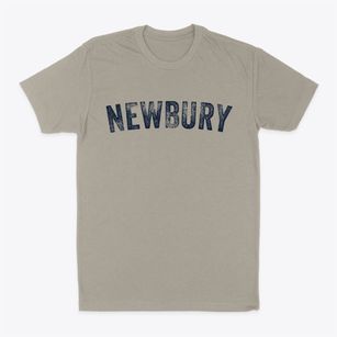 Newbury New Hampshire Timeless Retro Classic Dad T-Shirt