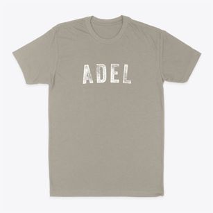 Adel Iowa Timeless Retro Classic Dad T-Shirt