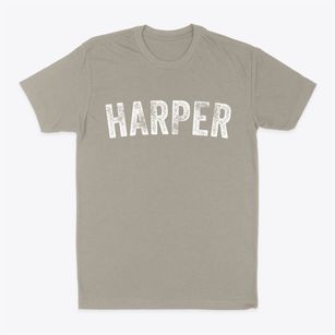 Harper Iowa Timeless Retro Classic Dad T-Shirt