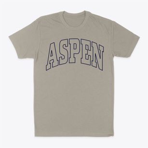 Aspen Colorado Trendy Block Classic Dad T-Shirt