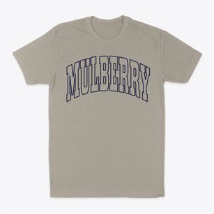 Mulberry Florida Trendy Block Classic Dad T-Shirt