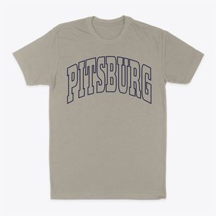 Pitsburg Ohio Trendy Block Classic Dad T-Shirt