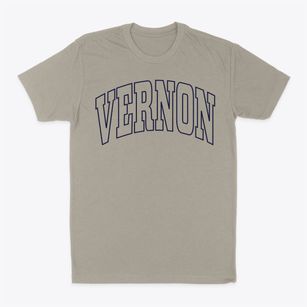Vernon Illinois Trendy Block Classic Dad T-Shirt