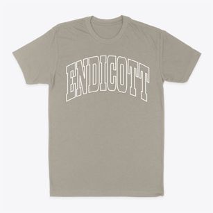 Endicott Washington Trendy Block Classic Dad T-Shirt
