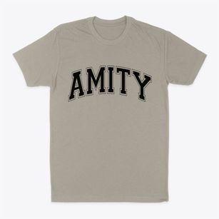 Amity Arkansas Varsity Classic Dad T-Shirt