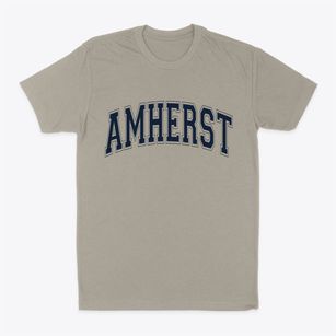 Amherst Ohio Varsity Classic Dad T-Shirt