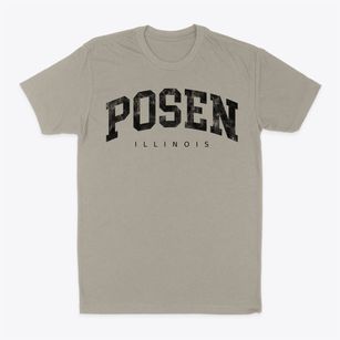 Posen Illinois Urban Vibe Classic Dad T-Shirt