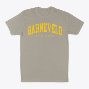 Barneveld New York Urban Vibe Classic Dad T-Shirt