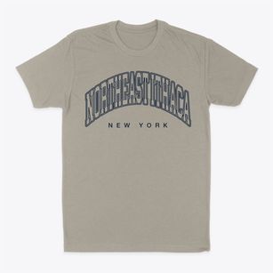 Northeast Ithaca New York Inline Classic Dad T-Shirt