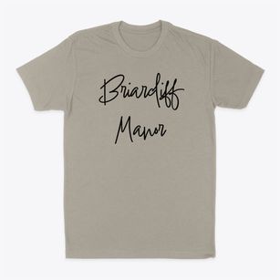 Briarcliff Manor New York Freestyle Classic Dad T-Shirt