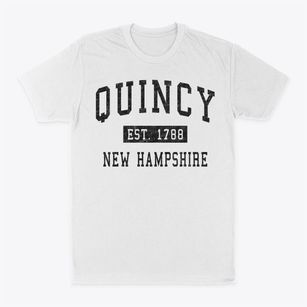 Quincy New Hampshire Classic Established Classic Dad T-Shirt