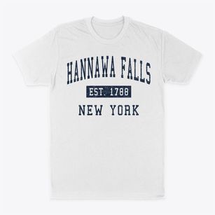 Hannawa Falls New York Classic Established Classic Dad T-Shirt